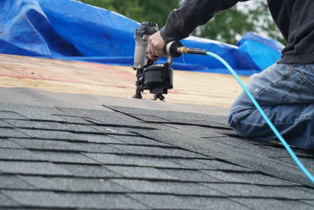Best Chimney Flashing Repair  in Reidsville, GA