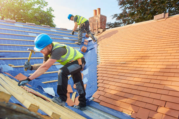 Best Roof Leak Repair  in Reidsville, GA